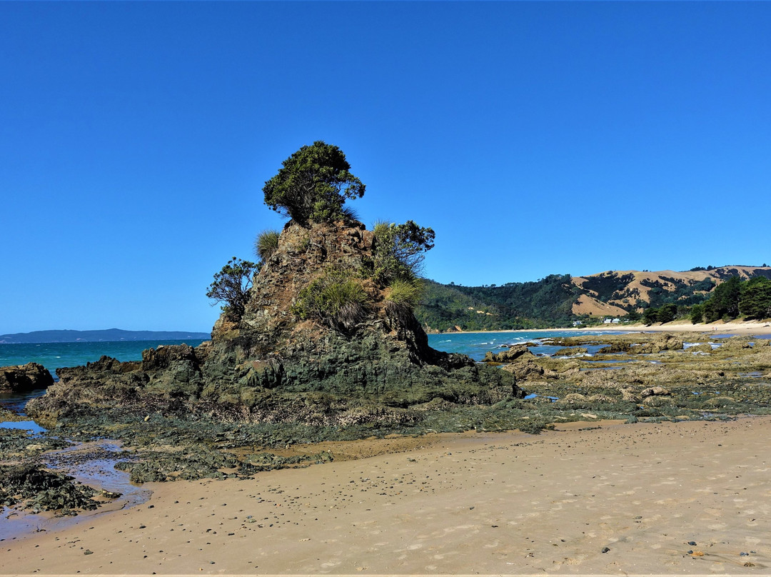 Mercury Bay-科罗曼德必去景点