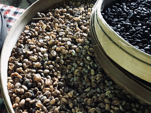 Sanur Driver-沙努尔必去景点