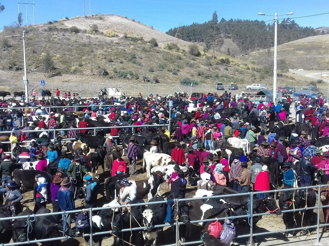 Living Ecuador Travel-Patate必去景点