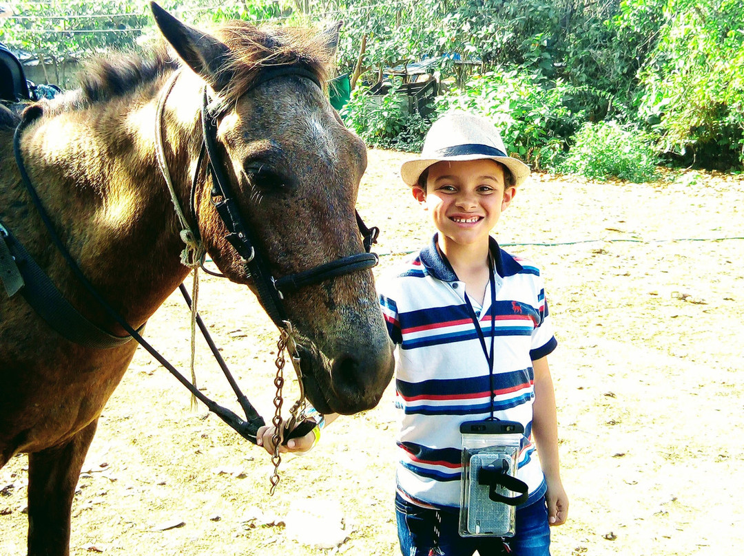 Native Horses-San Luis必去景点