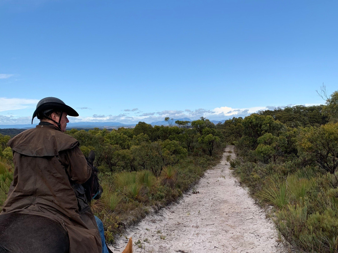 Cradle Country Adventures-摇篮山圣克莱尔湖国家公园必去景点