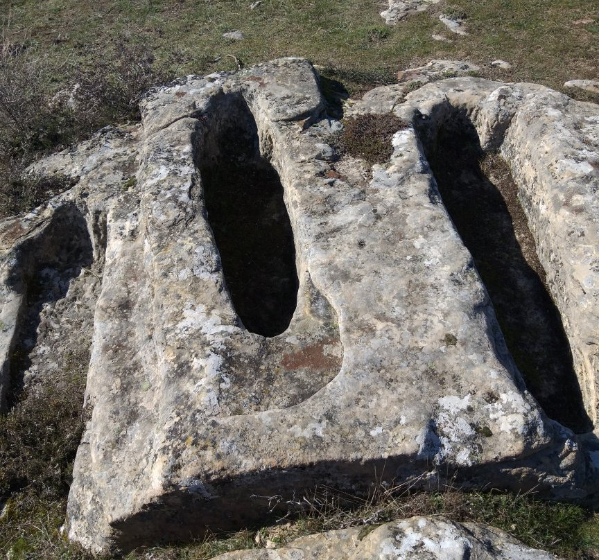Necropolis de Corvio景点图片