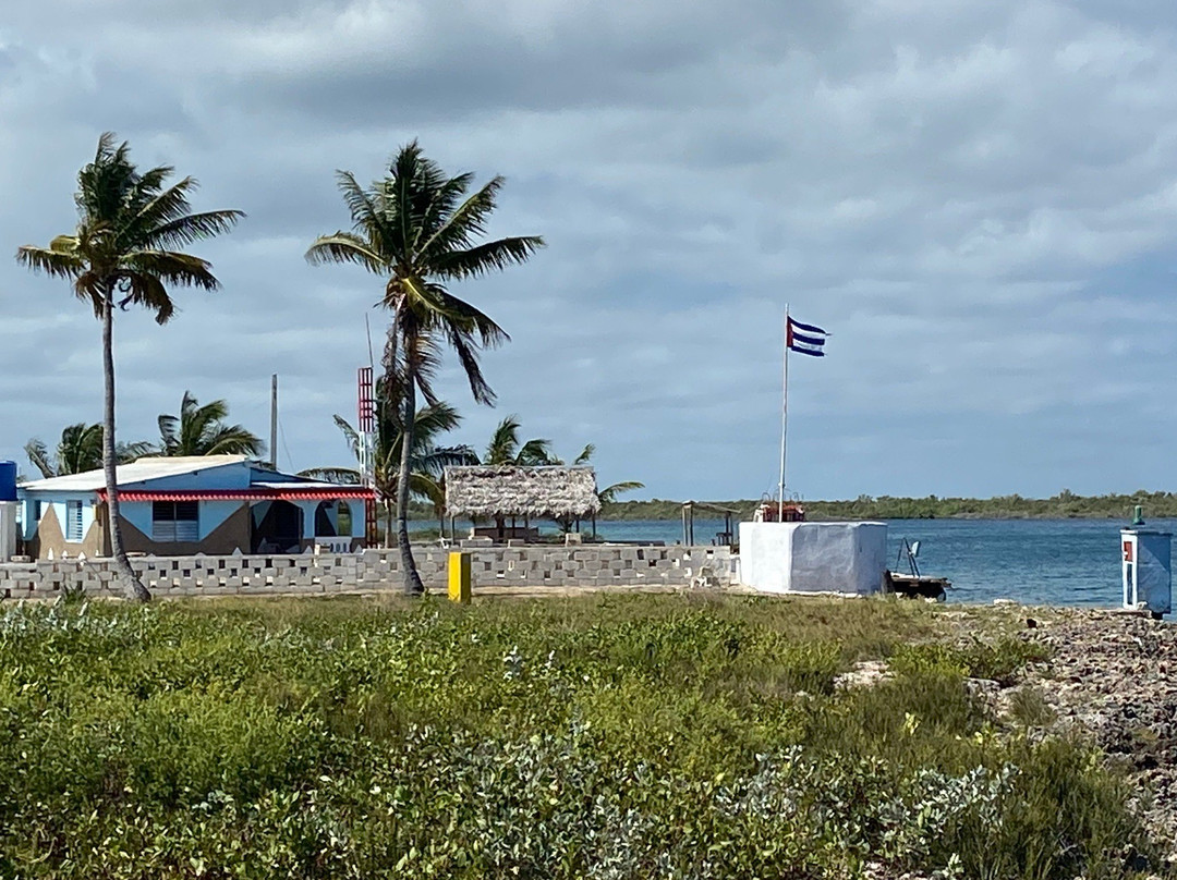 Shark's Friends Diving Center-Playa Santa Lucia必去景点