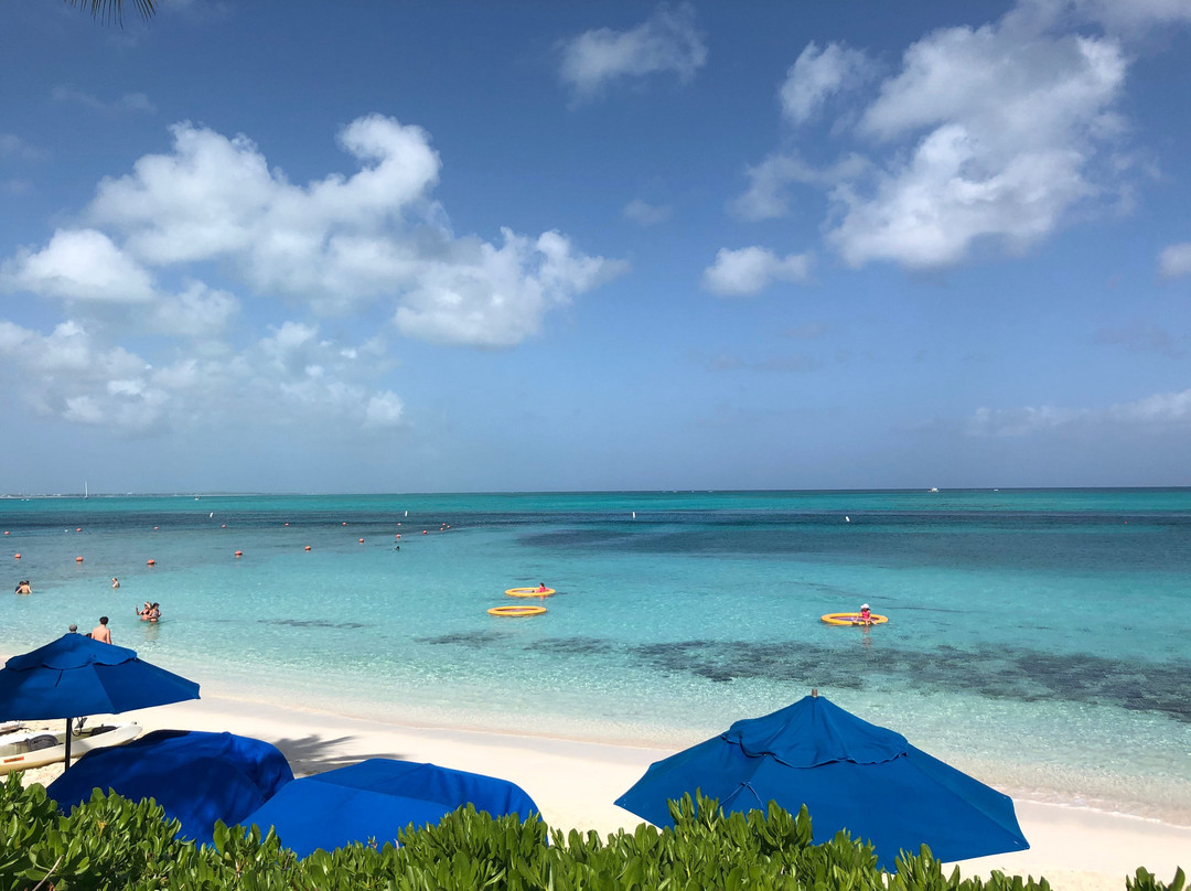 Paradise Scooters-格雷斯湾必去景点