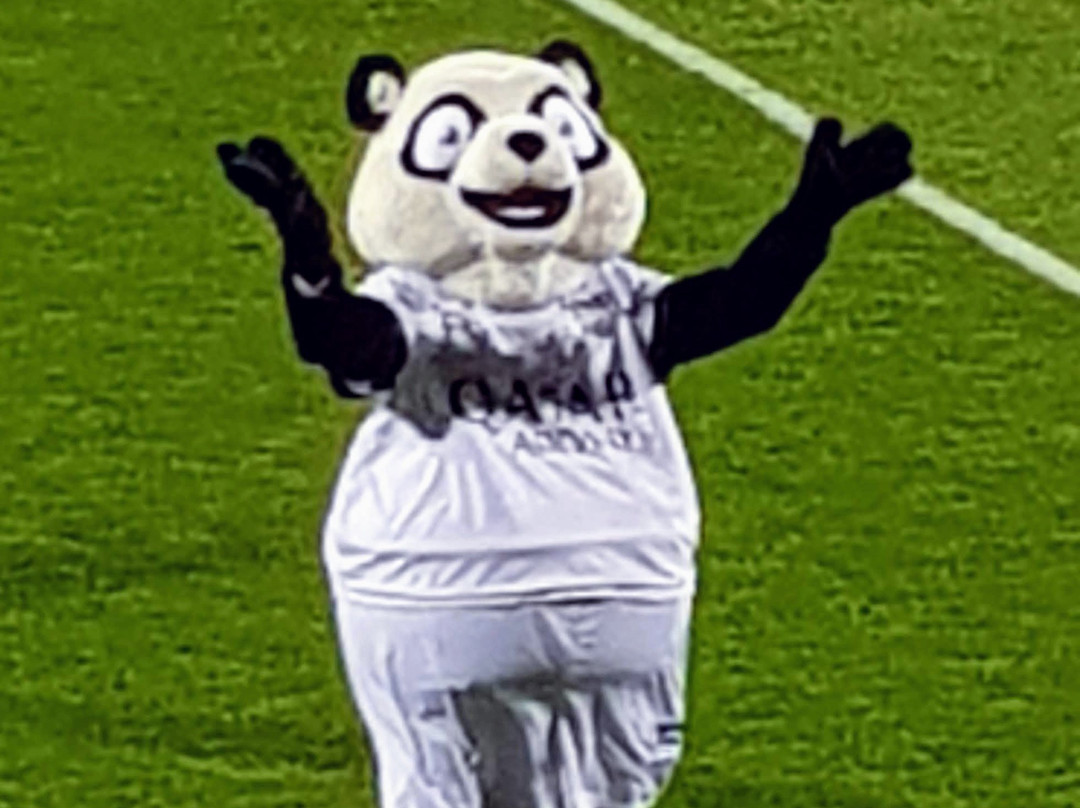 Kehrwegstadion景点图片