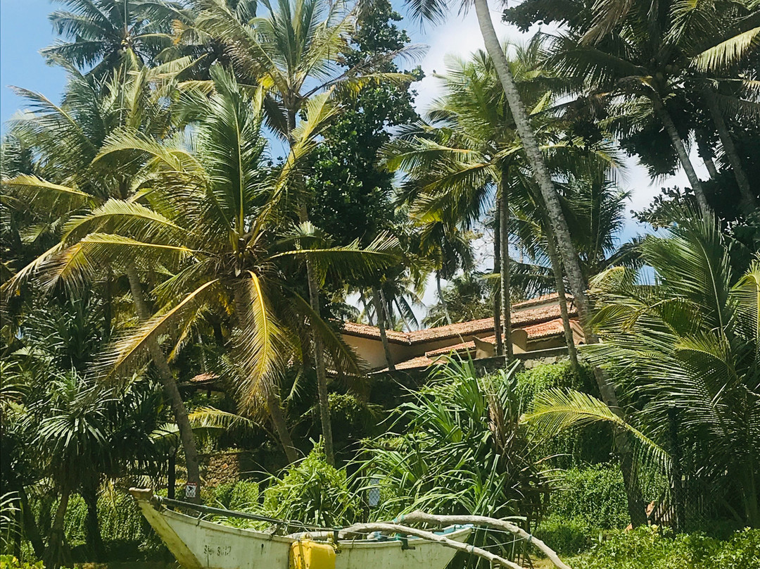 Kingdom Resort主图