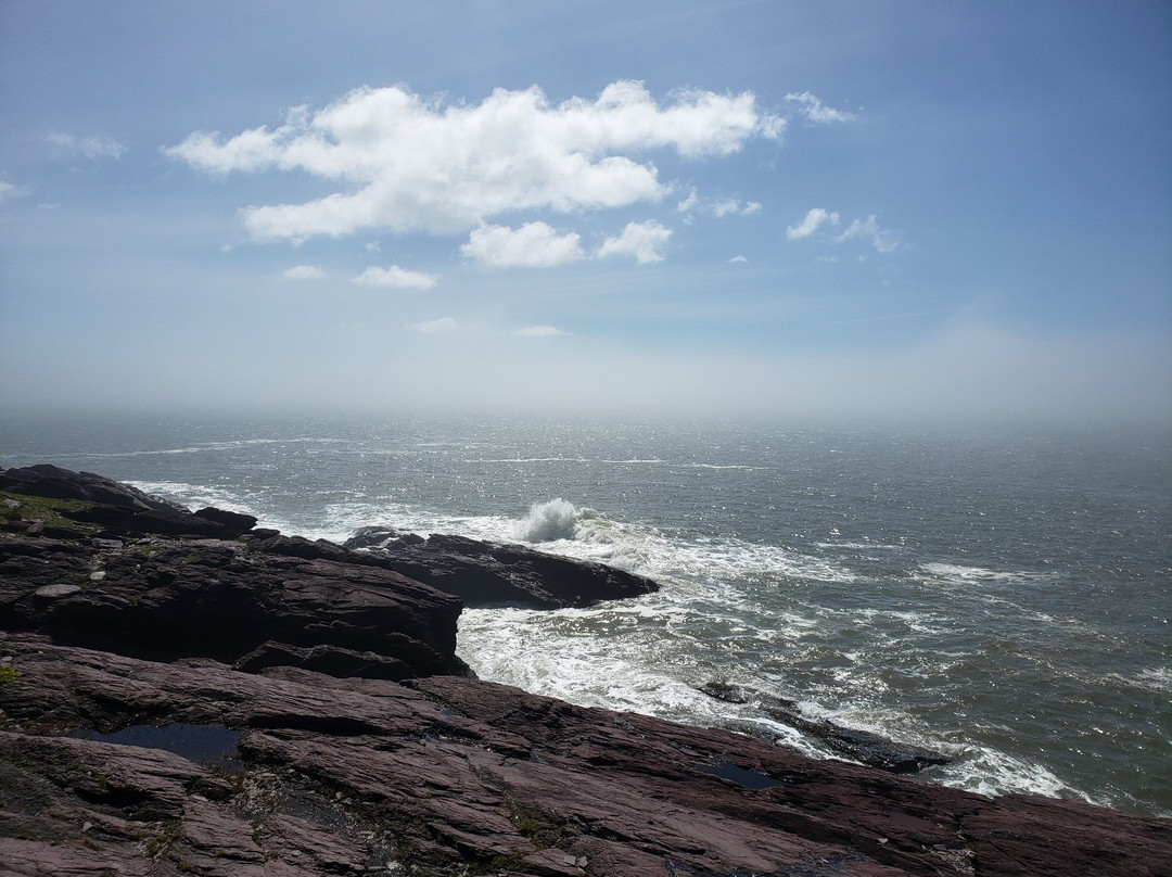 Belding's Reef Nature Preserve-Chance Harbour必去景点