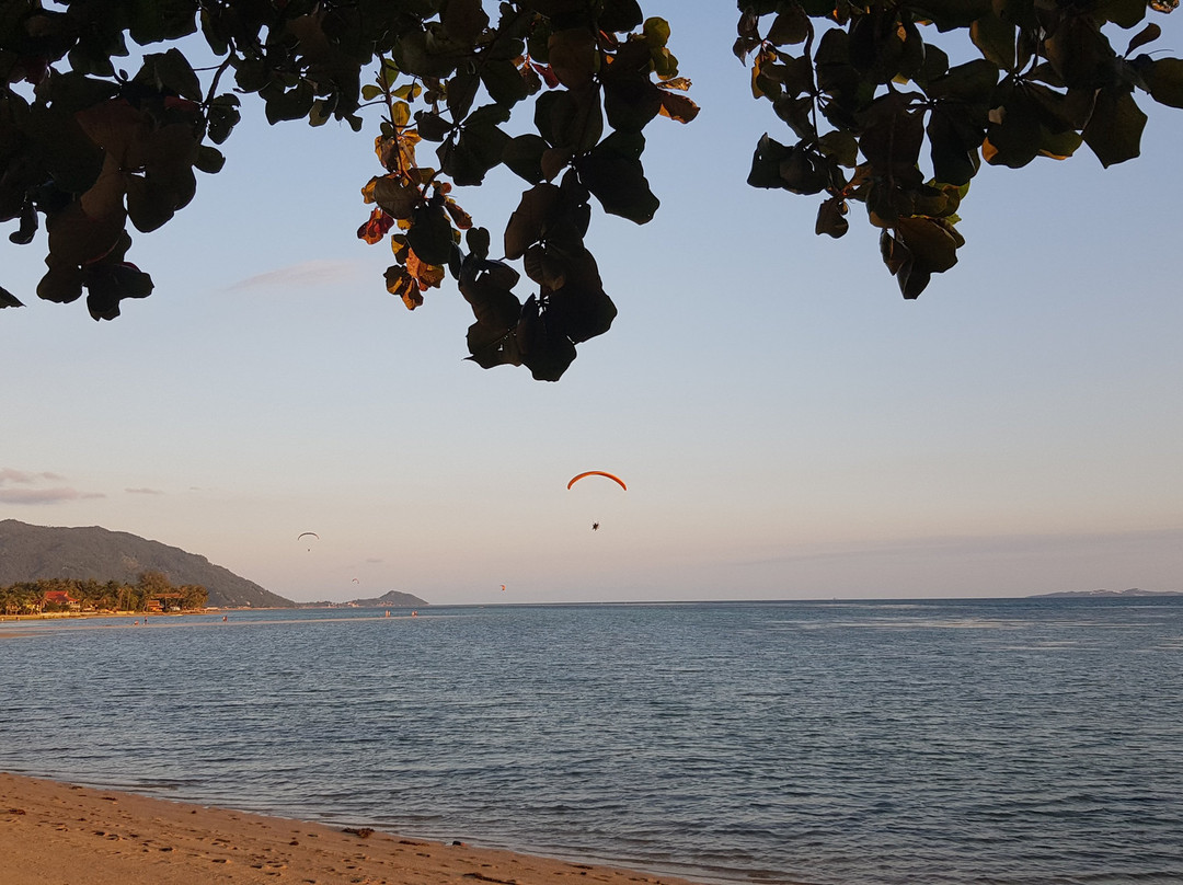 Butterfly Bungalows主图