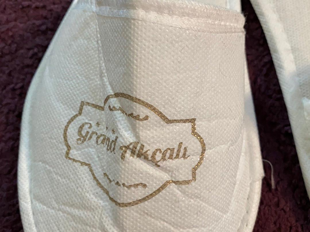 Grand Akcali Hotel主图