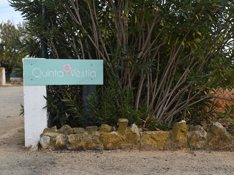Quinta Vestia主图