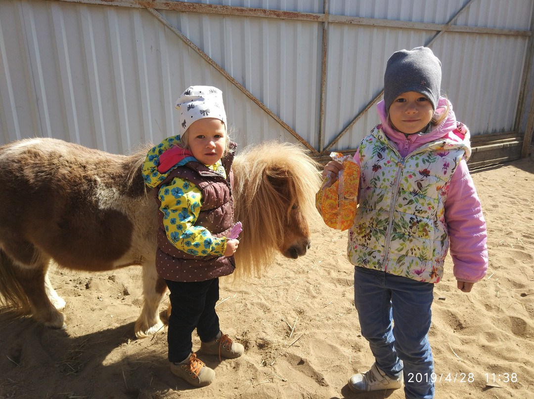 Tosno Equestrian Club Status景点图片