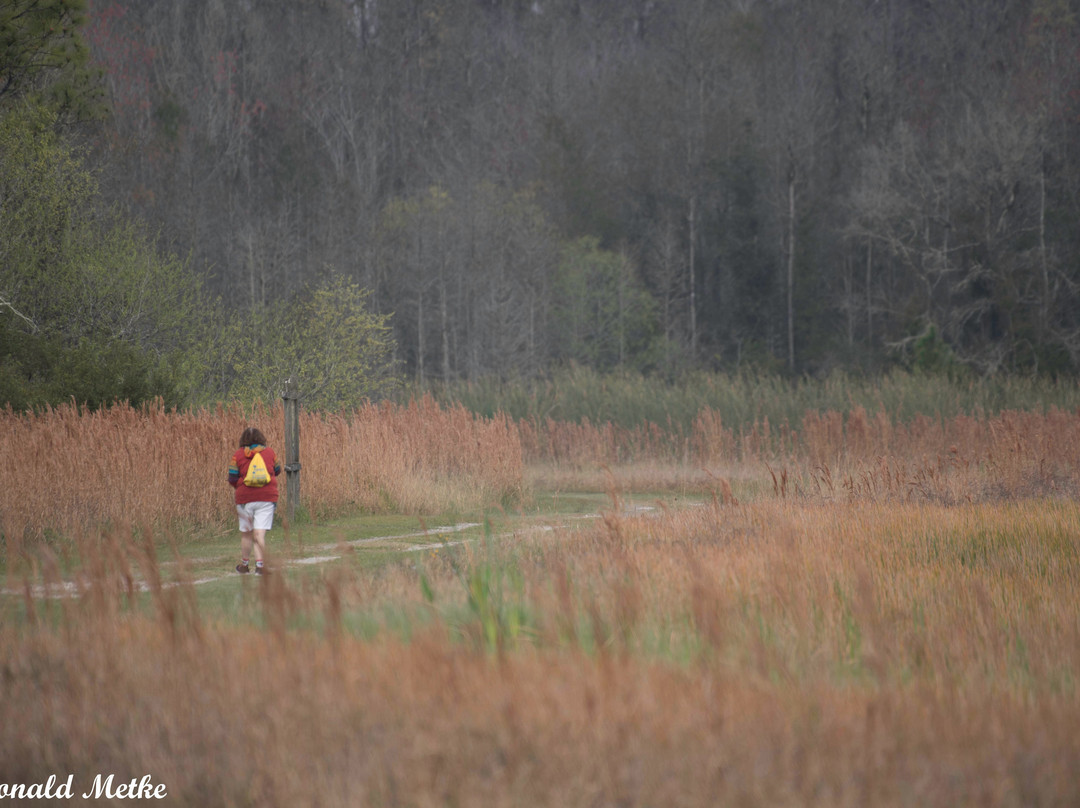 Colt Creek State Park-莱克兰必去景点