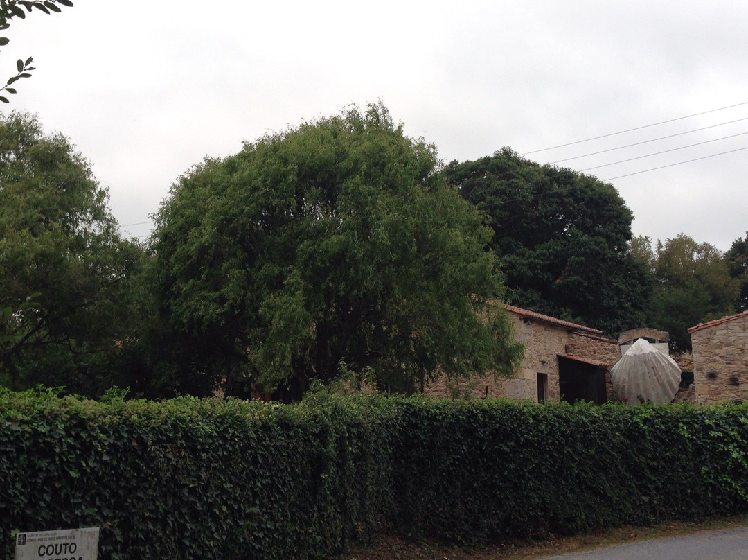 Albergue a Casina di Marcello主图