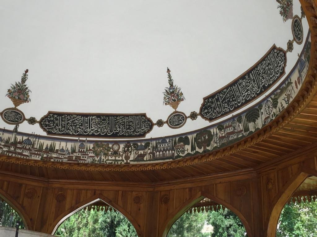Sultan II. Beyazit Mosque & Theological College景点图片