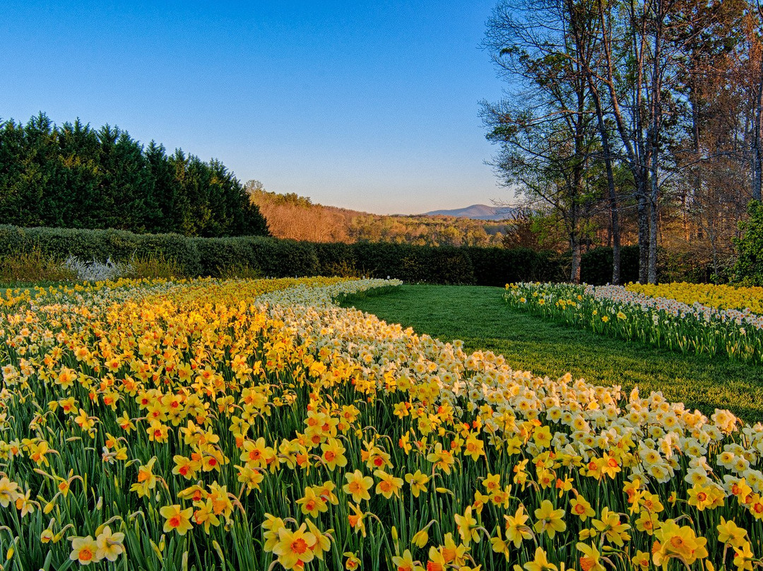 Gibbs Gardens-Ball Ground必去景点