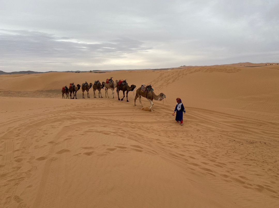 Marruecos Sahara Tour景点图片