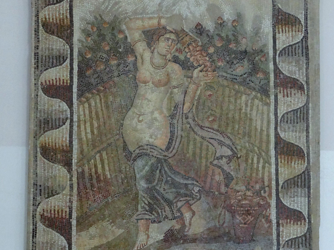 Carthage Museuma-迦太基必去景点