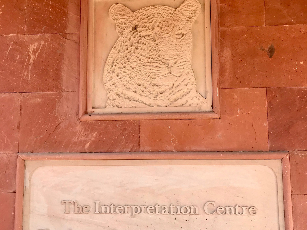 Jhalana Leopard Safari-斋蒲尔必去景点