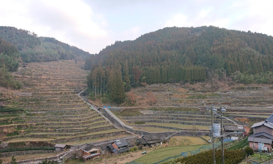 Ishizumi Rice Terraces景点图片