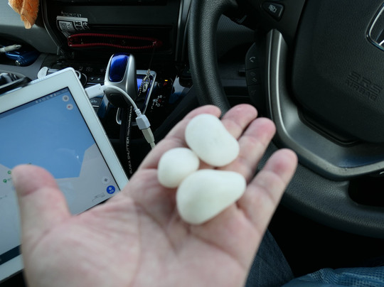 Suzu Misaki-株洲市必去景点