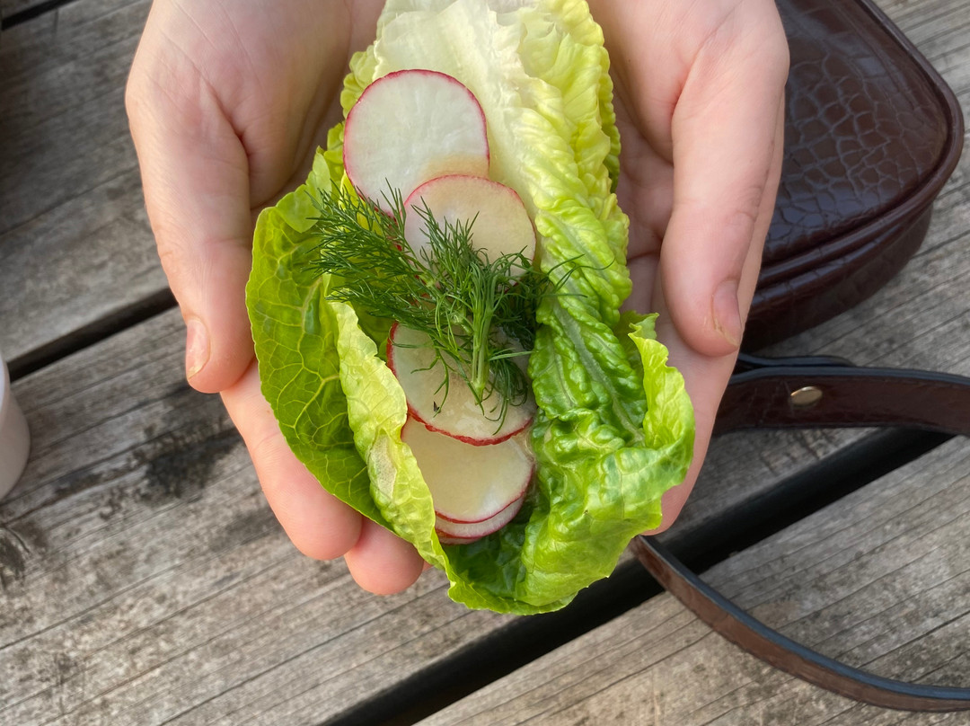 The Royal Hotel Mornington主图