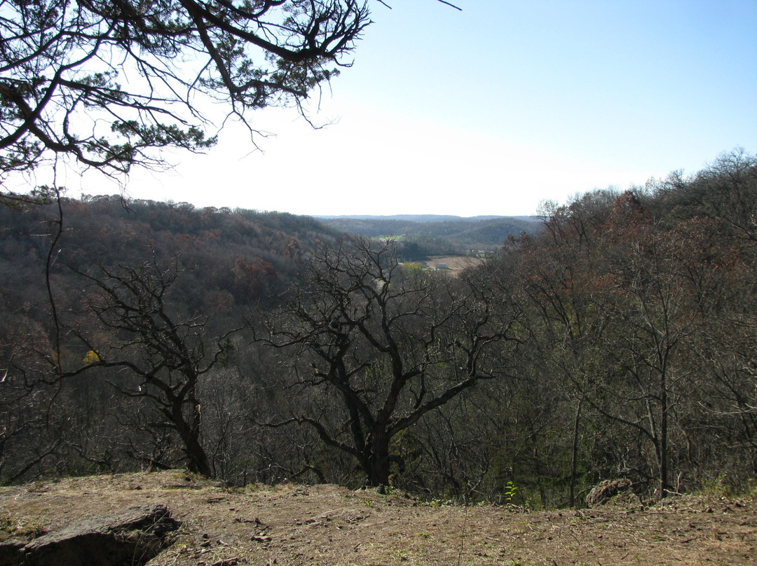 Morton Forest County Park-Mazomanie必去景点