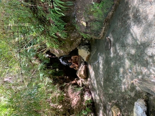 Termas De Queñi-圣马丁德洛斯安第斯必去景点