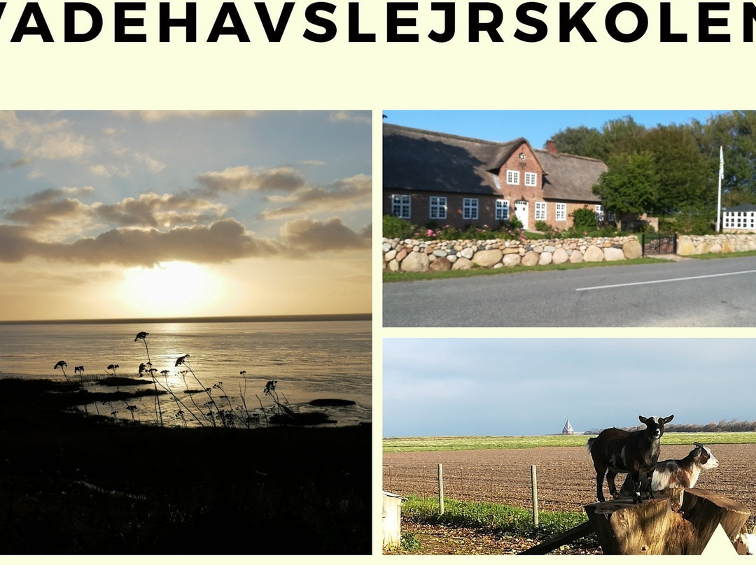 Vadehavslejrskolen