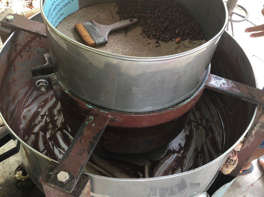 Muoi Cuong Cocoa Farm-芹苴必去景点