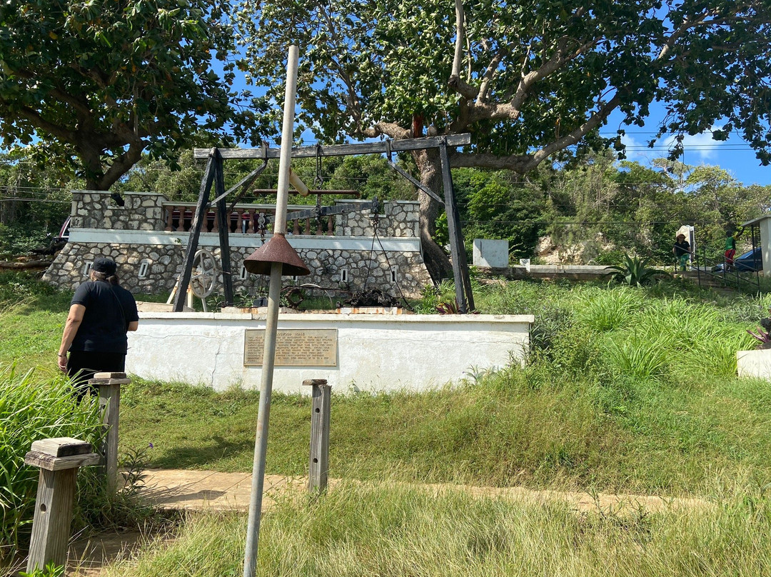 Columbus Park-发现湾必去景点