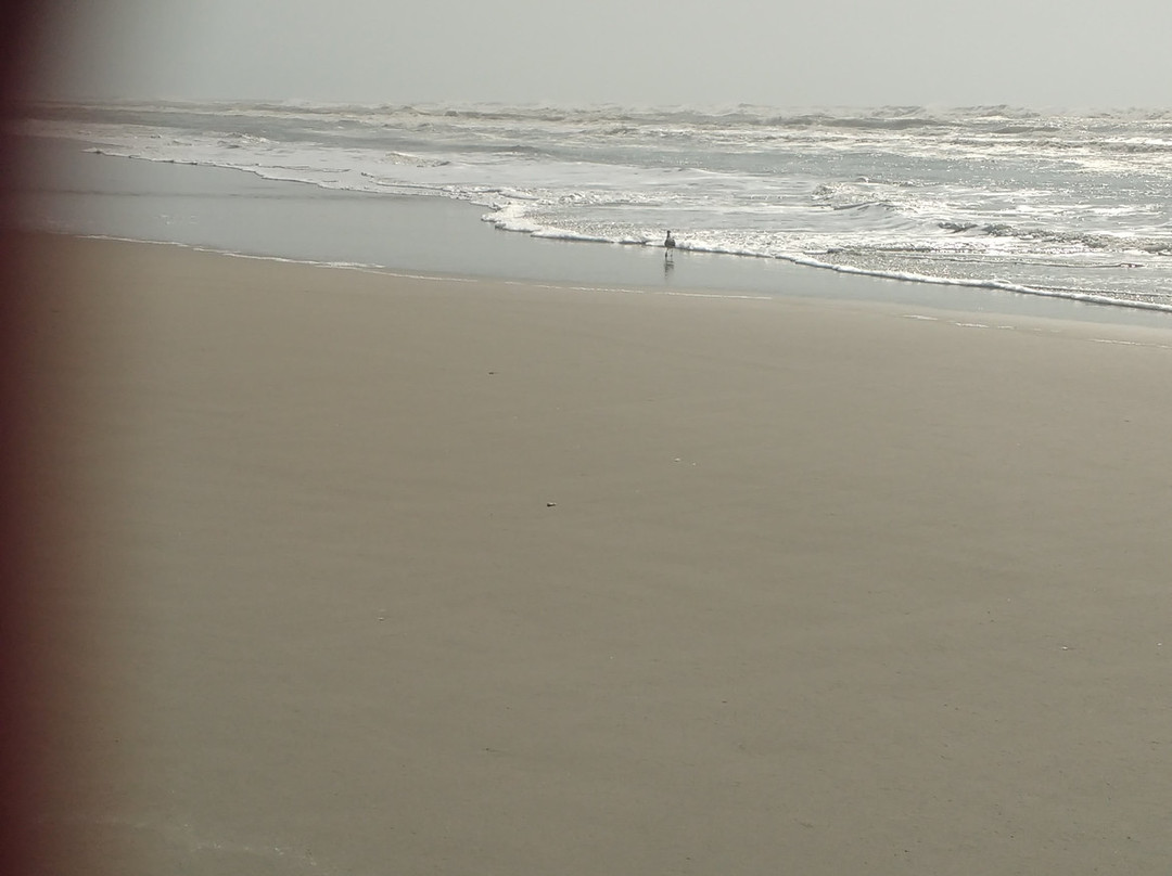 Solidao Beach景点图片