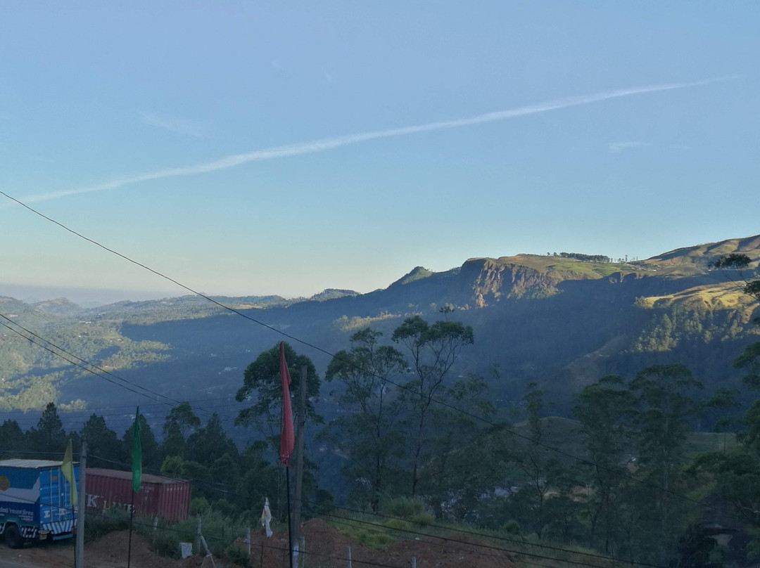 Nature First Hotel主图