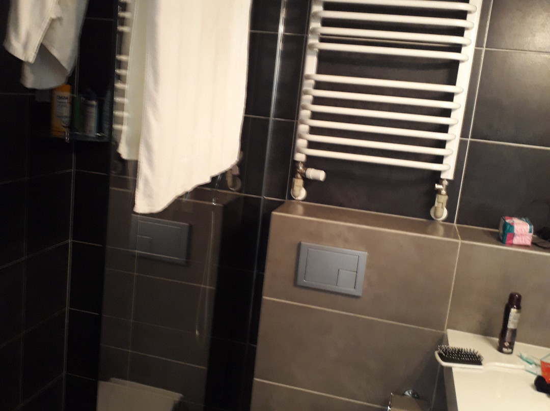 Hotel Cristal Spa主图