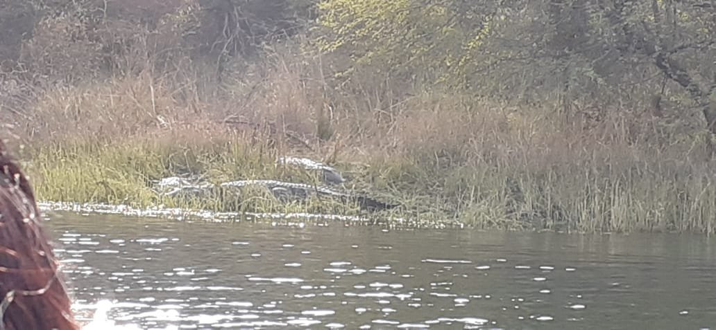 Tigra Dam-瓜廖尔必去景点