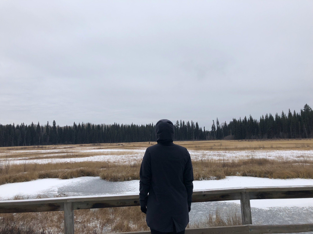 Eskers Provincial Park-Reid Lake必去景点