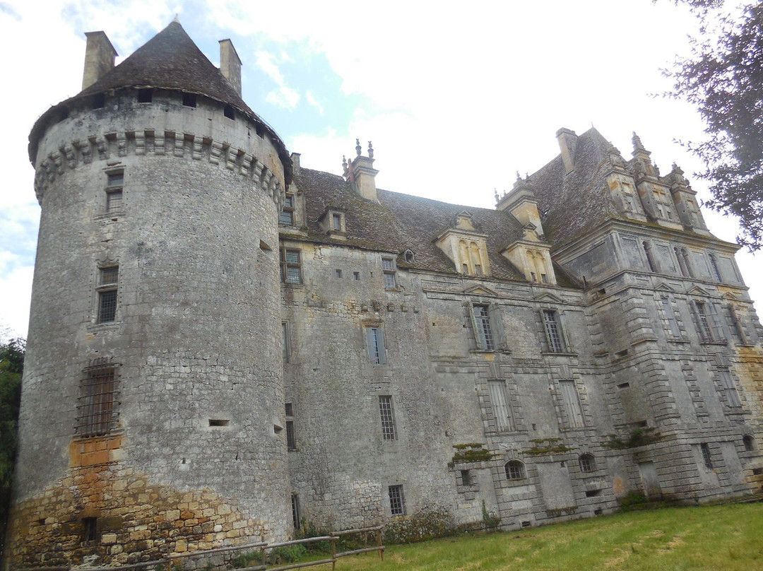 Chateau de Lanquais景点图片