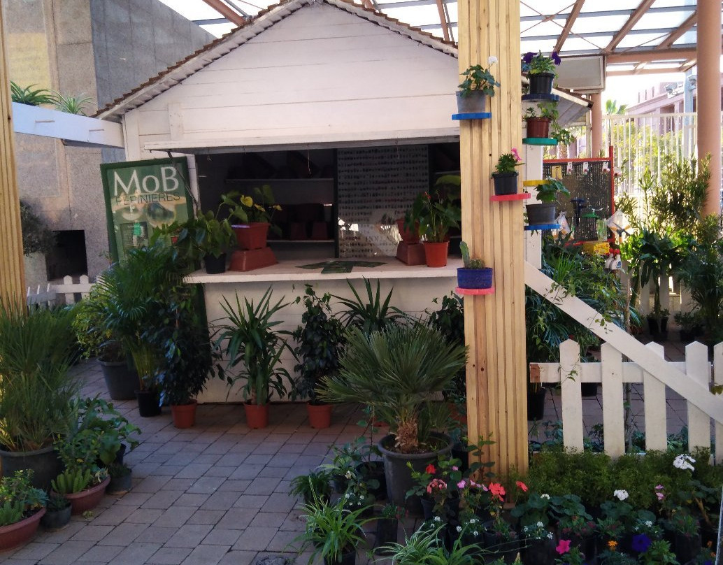 Almazar Centre Commercial-马拉喀什必去景点