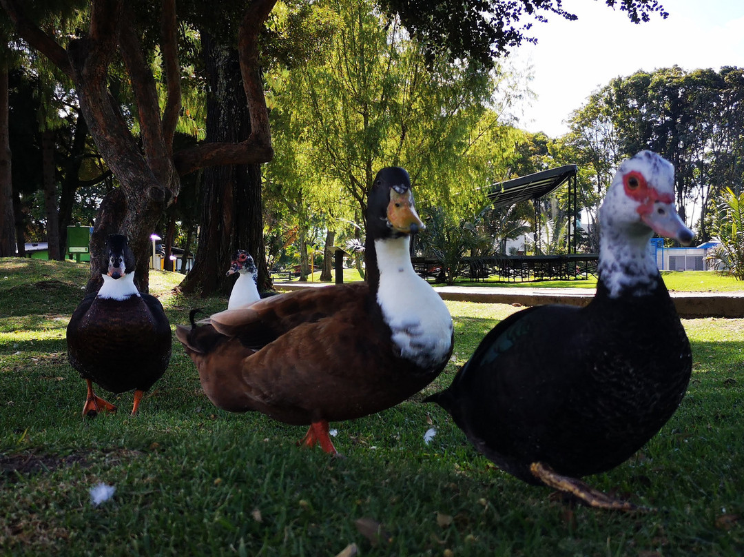 Parque de Los Novios-波哥大必去景点