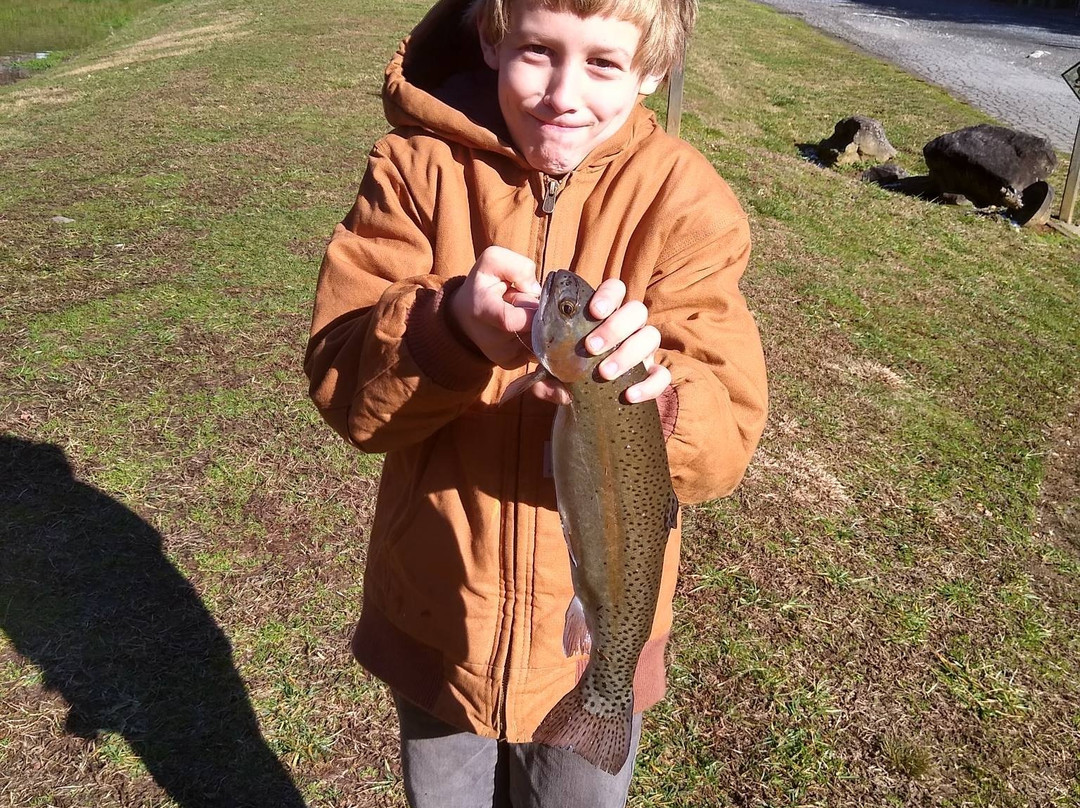 Cooper Creek Trout Farm & Pond景点图片