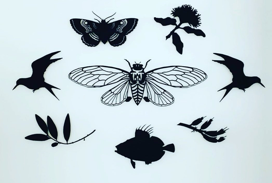 TOI Gallery-奥克兰必去景点