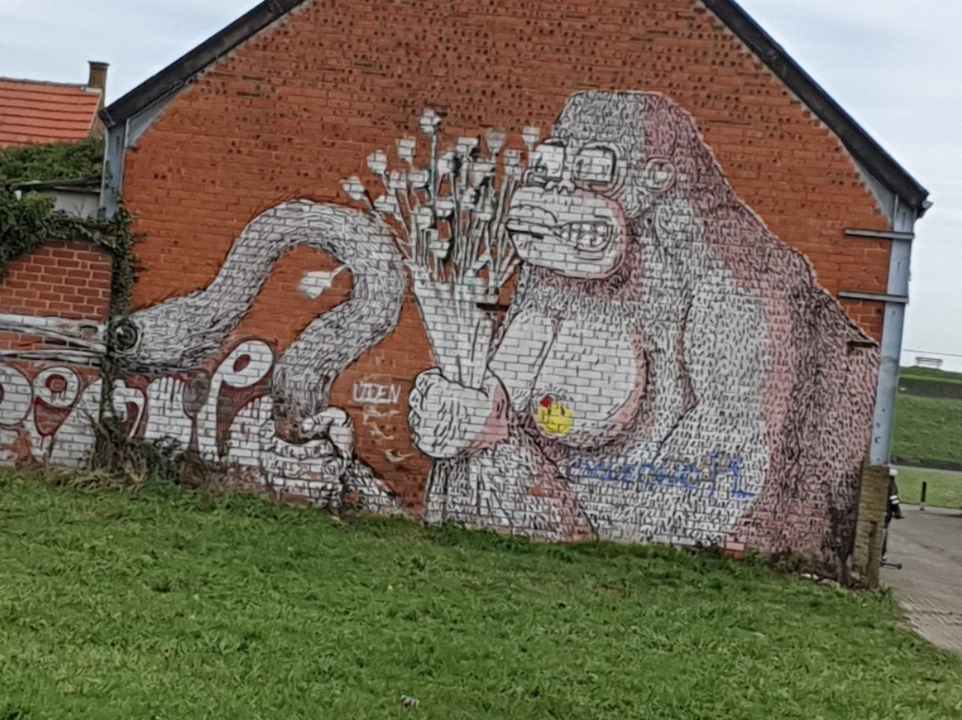 Doel Street Art景点图片