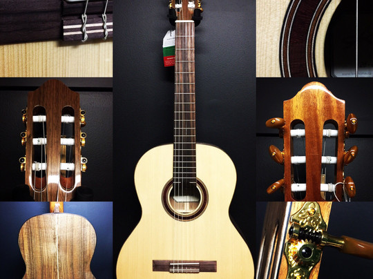 CHAPMANS Guitars and Music-奥兰治必去景点