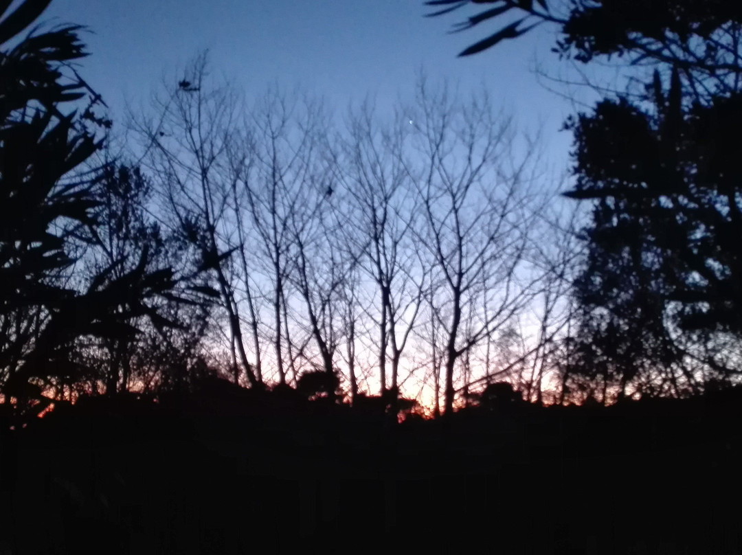 Dasoktima Tatoiou-Acharnes必去景点