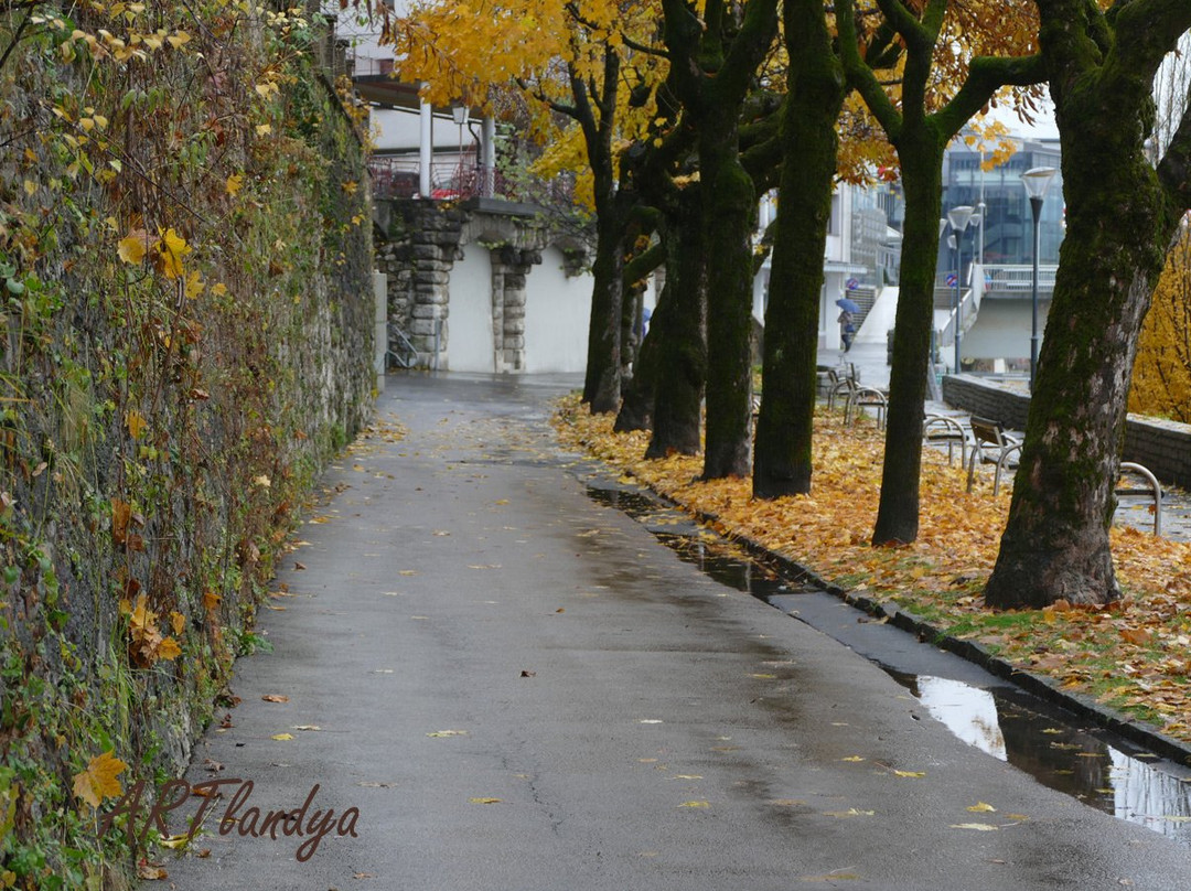 Tourismusinformation Villach-Stadt景点图片