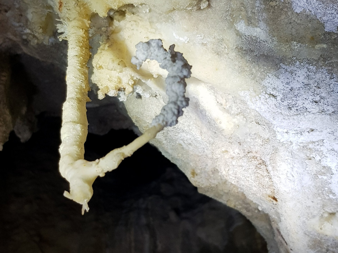 Gruta da Fumaça-Iraquara必去景点