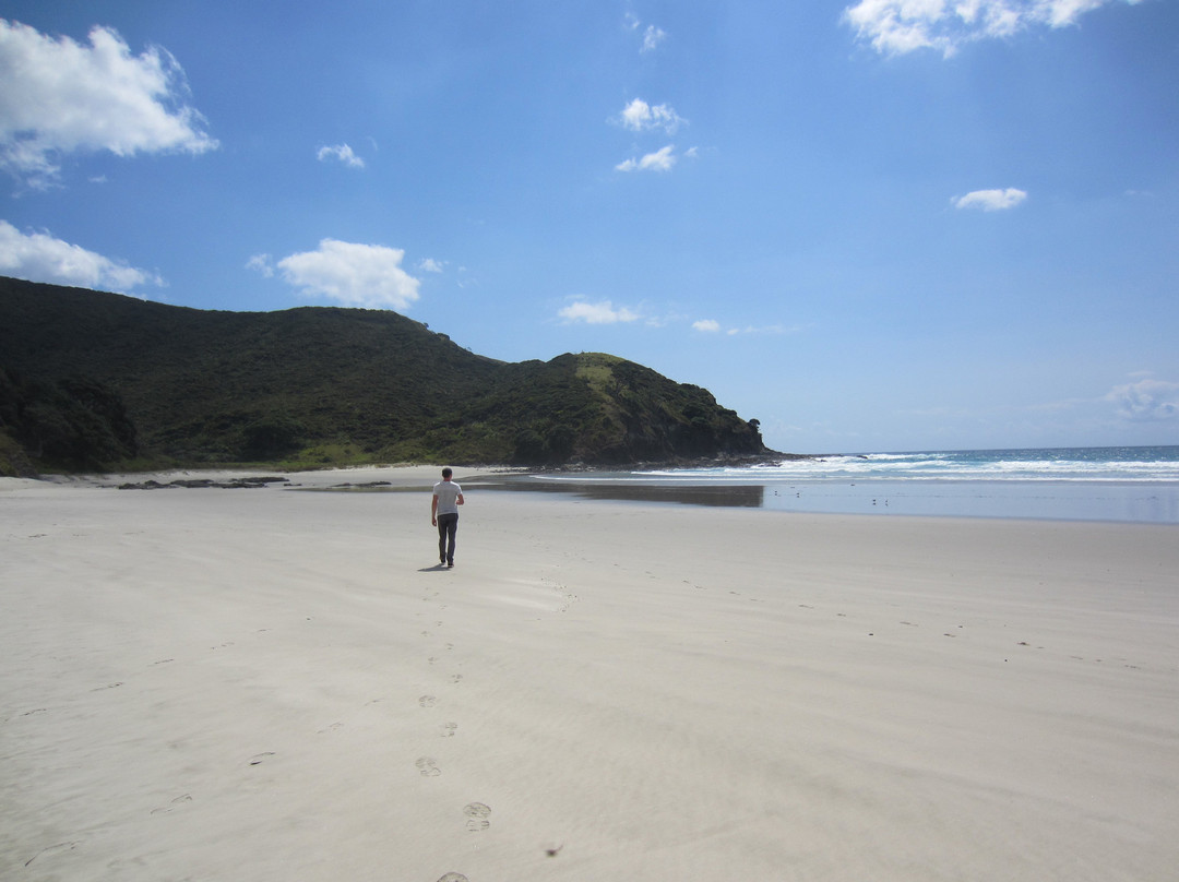 Tapotupotu Beach景点图片