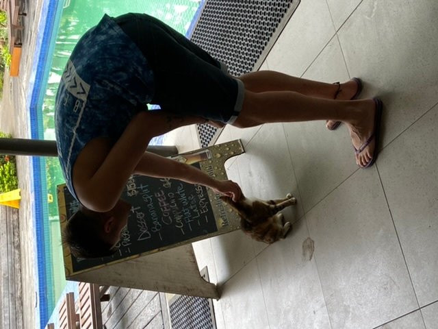 棕榈绿洲度假酒店主图