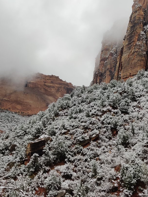 Zion-Mt. Carmel Tunnel-锡安国家公园必去景点