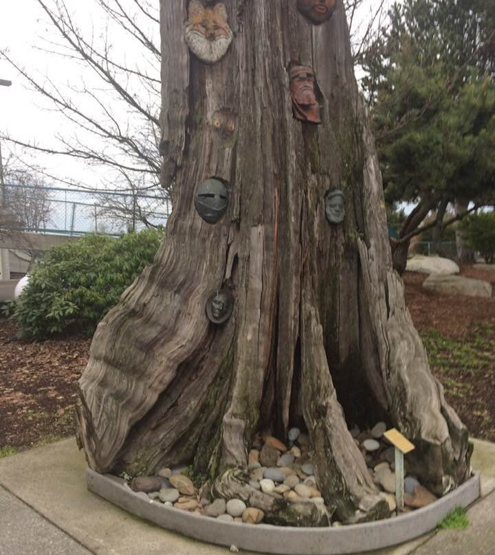 Port Angeles Visitor Center景点图片