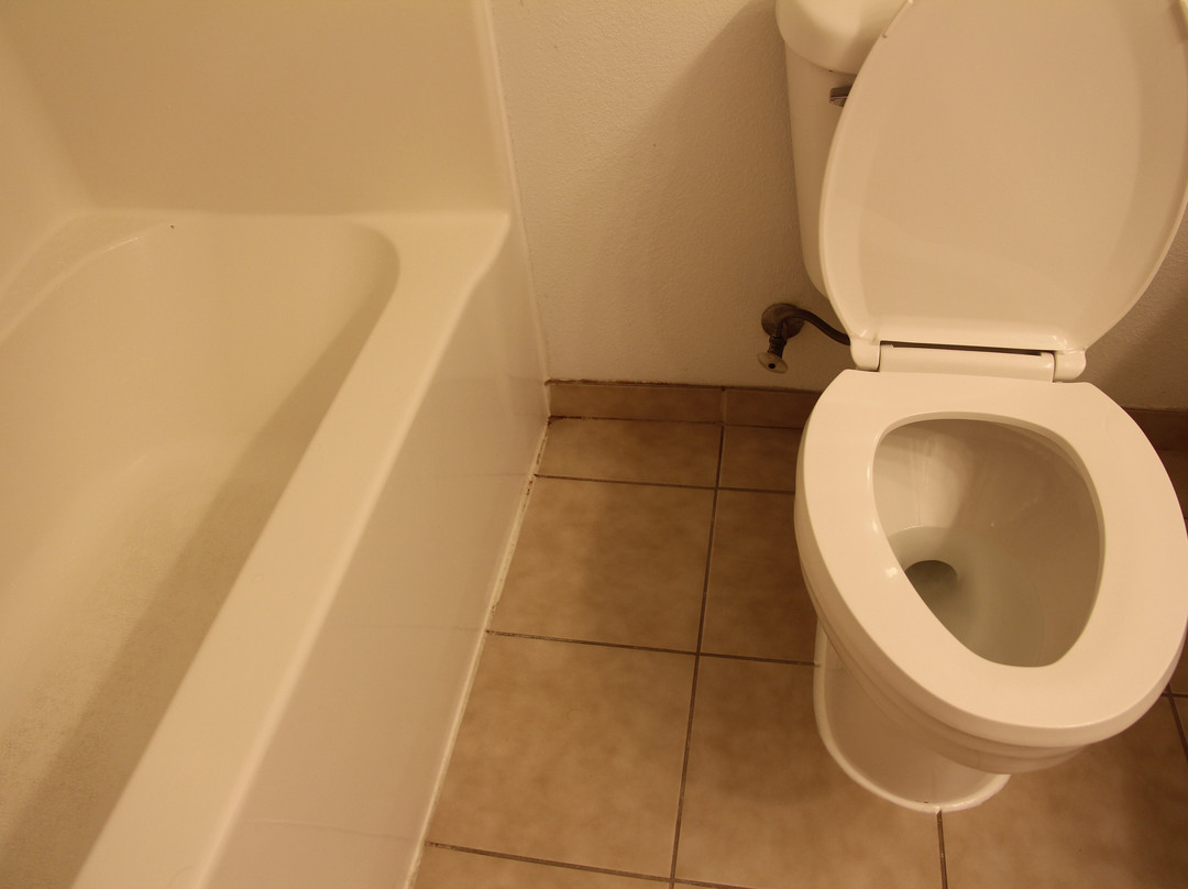 Country Inn & Suites by Radisson, Orangeburg, SC主图